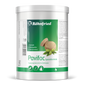 Röhnfried Pavifac Spezialbierhefe 700 g
