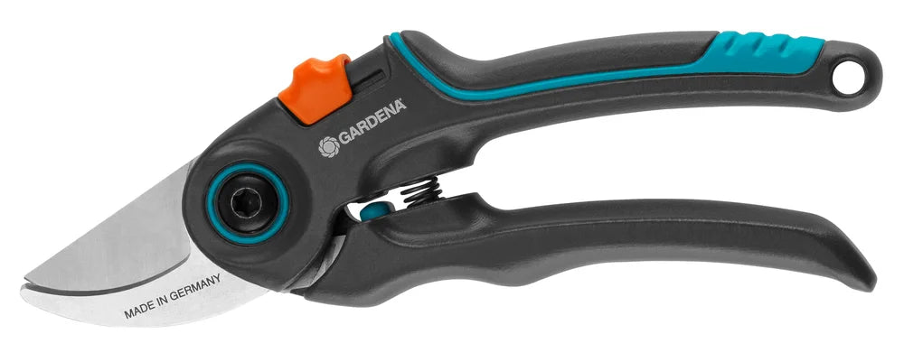 Pruning Shears ExpertCut