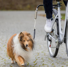Trixie Biker-Set Fahrradhalterung für Hunde mit Abstandshalter und Federung