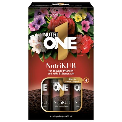 SBM Nutri One Pflanzenkur 6x32 ml