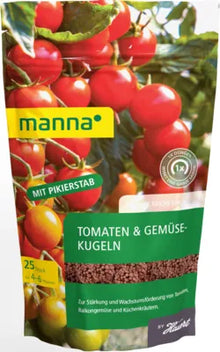 Manna Tomato and Vegetable Dumpling
