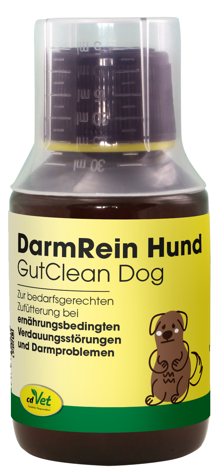 cdVet DarmRein Hund