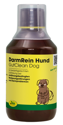 cdVet DarmRein Hund