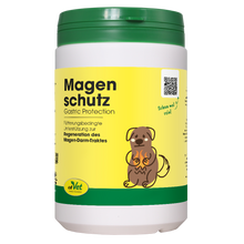 cdVet Stomach Protection for Dogs & Cats