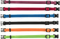 Trixie Junior Puppy Collar Set, M–L: 22–35 cm/10 mm, 6 pcs., black, red, royal blue, apple, papaya, orchid
