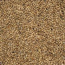 Spinne Silberhirse 25 kg