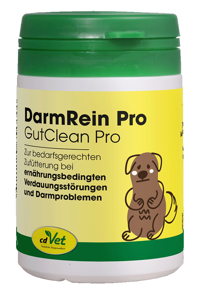 cdVet DarmRein Pro