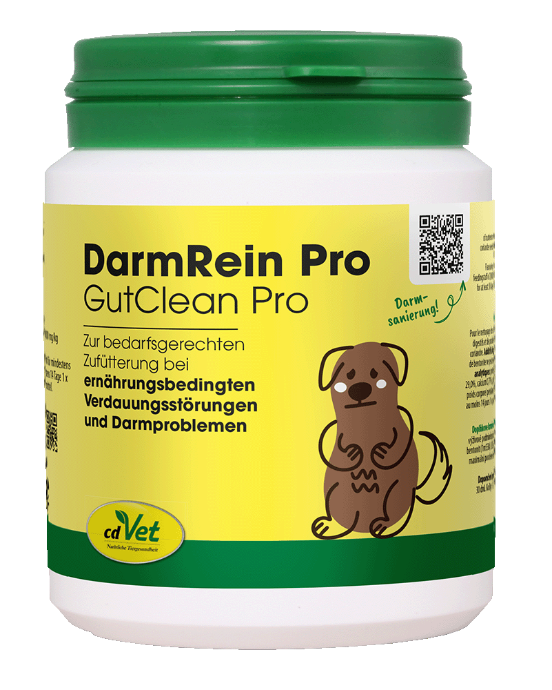 cdVet DarmRein Pro