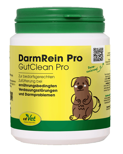 cdVet DarmRein Pro