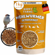 Dried Mealworms Premium Snack
