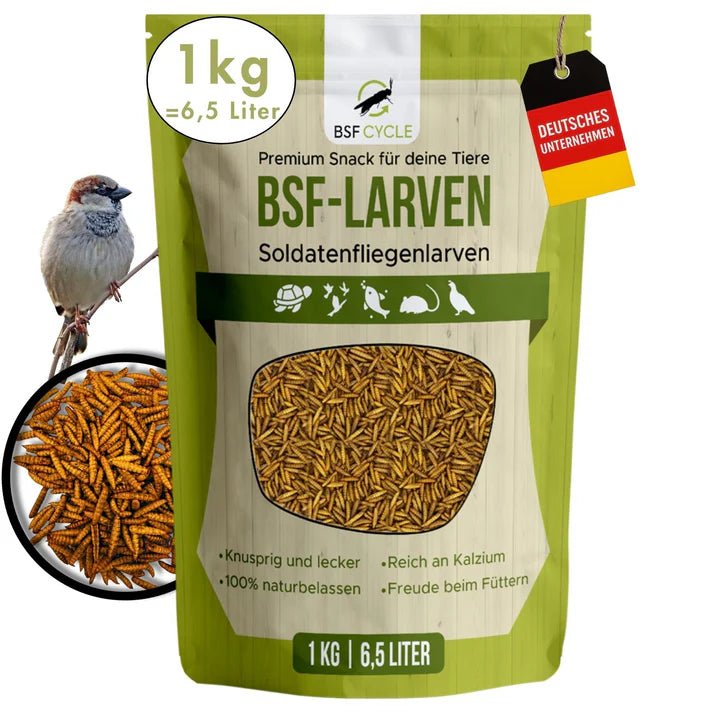BSF Larvae Premium Snack