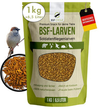 BSF Larvae Premium Snack