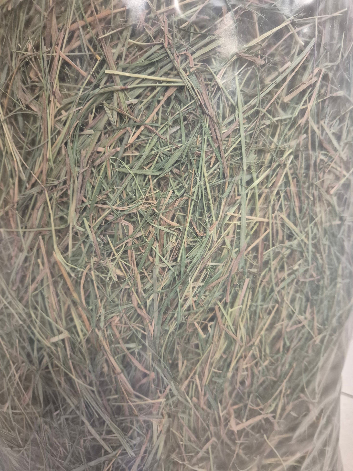 Hay/Straw