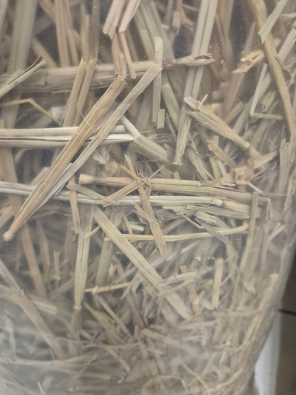 Hay/Straw