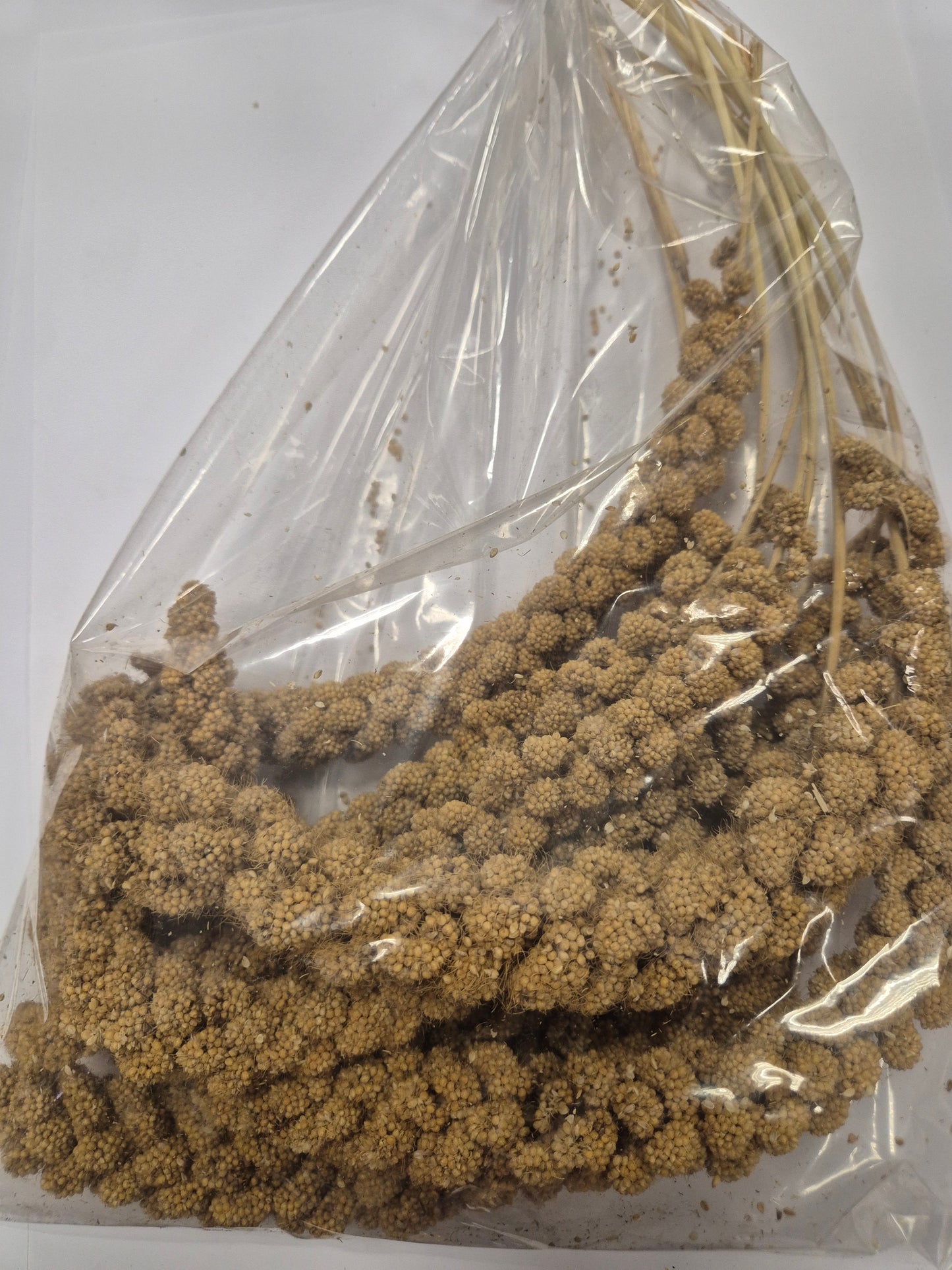 Agricultural Market Engert Yellow Foxtail Millet