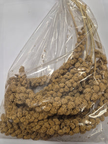 Agricultural Market Engert Yellow Foxtail Millet