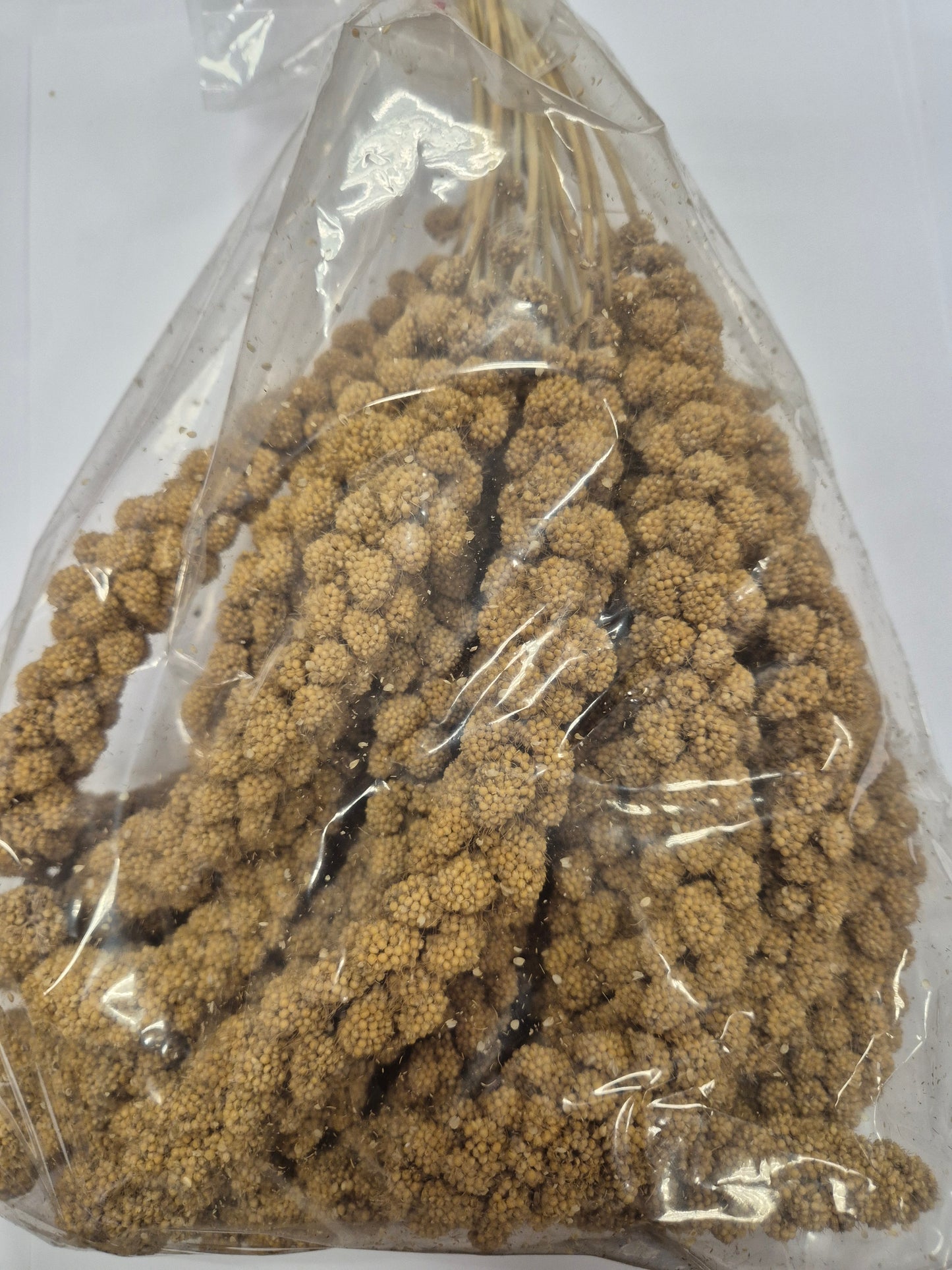 Agricultural Market Engert Yellow Foxtail Millet