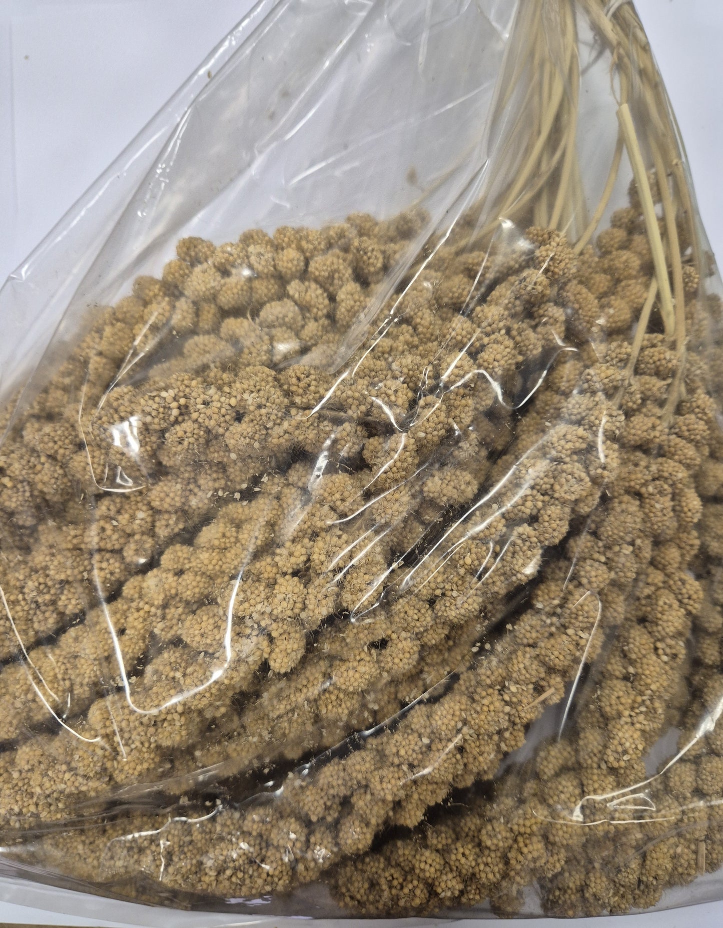 Agricultural Market Engert Yellow Foxtail Millet