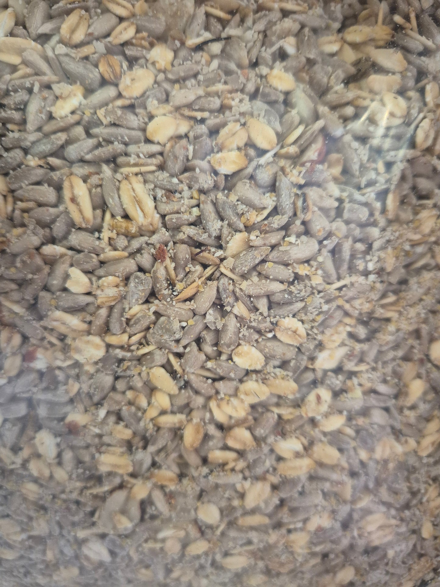 Kügler Mill Terrace Blend Husk-Free