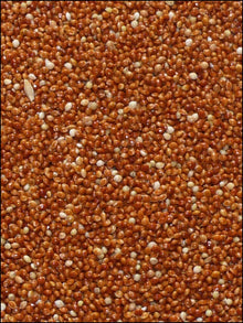 Spinne Rote Hirse 25 kg
