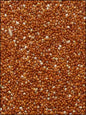 Spinne Rote Hirse 25 kg