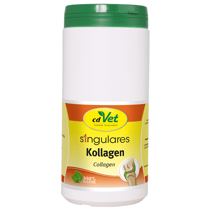 CdVet Singulares Kollagen