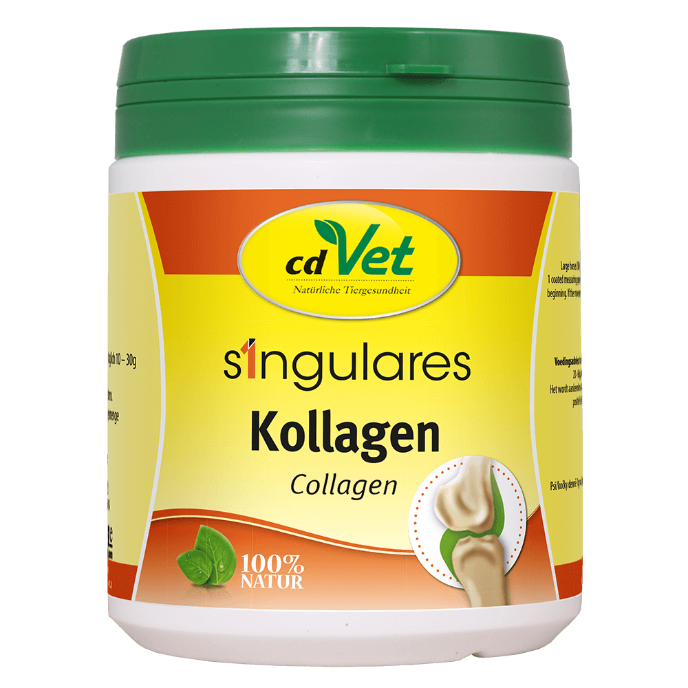 CdVet Singulares Kollagen