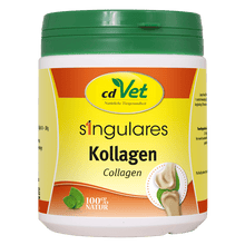 CdVet Singulares Kollagen