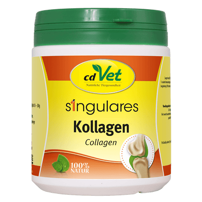 CdVet Singulares Kollagen
