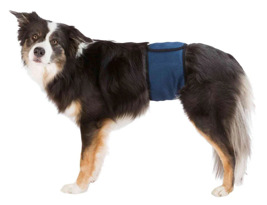 Trixie Male Wraps, Mesh Material