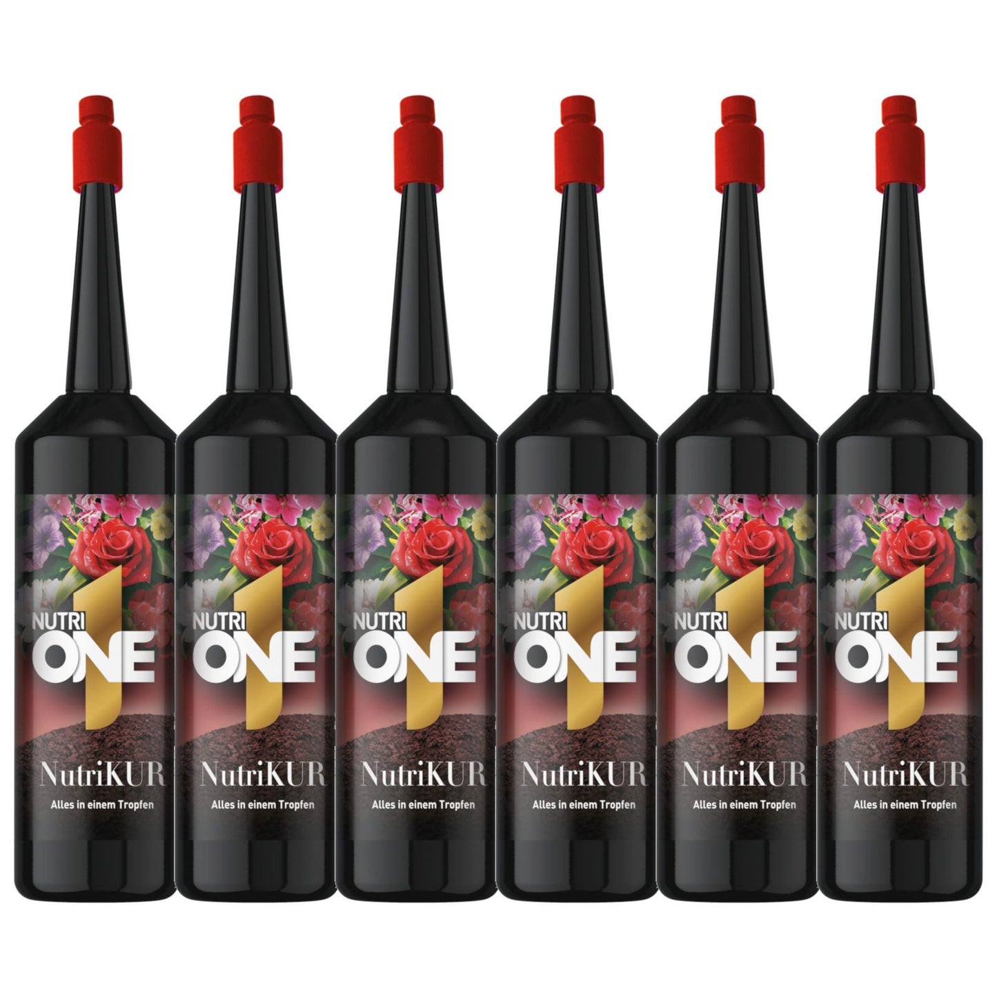 SBM Nutri One Pflanzenkur 6x32 ml