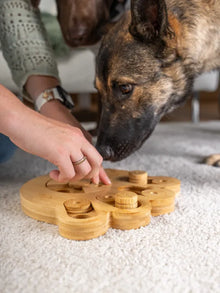 Trendpet Intelli- Intelligenzspielzeug aus Bambus