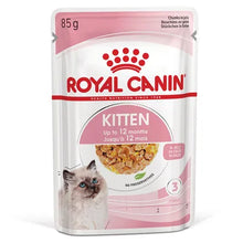 Royal Kitten in Jelly