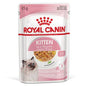 Royal Kitten in Jelly