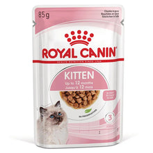 Royal Canin Kitten in Sauce