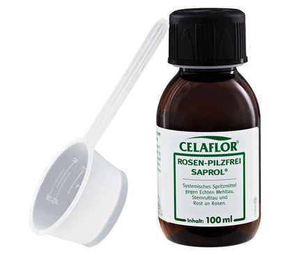 Evergreen Rose Fungus-Free Saprol Concentrate