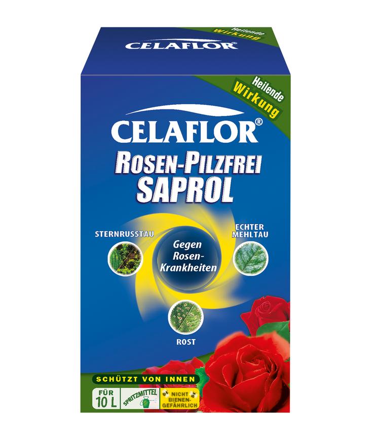 Evergreen Rose Fungus-Free Saprol Concentrate