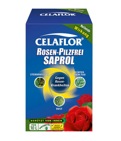 Evergreen Rose Fungus-Free Saprol Concentrate