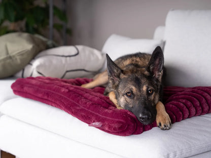 TrendPet Hundematte Mora extradicker Polsterung