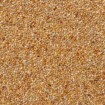 Beyers Deli Nature 40-Exoten Basis 20 kg