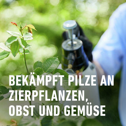Compo Duaxo® Universal Pilz-frei AF