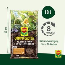 Compo CACTEA® Cactus and Succulent Soil