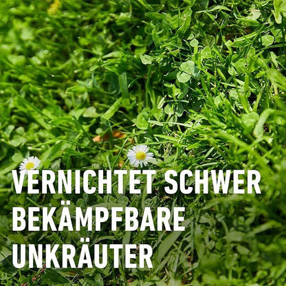 Compo Rasenunkraut-Vernichter Banvel® Quattro