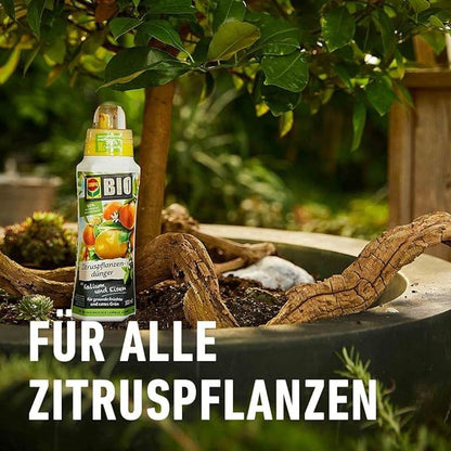Compo Bio Zitruspflanzendünger 500 ml