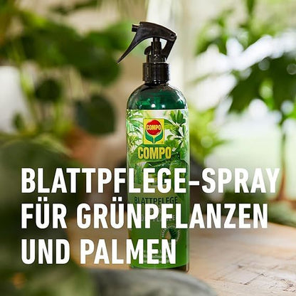 Compo Blattpflege für Grünpflanzen