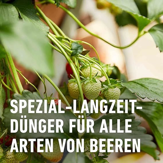 Compo Beeren- und Obst Langzeit-Dünger 2 kg