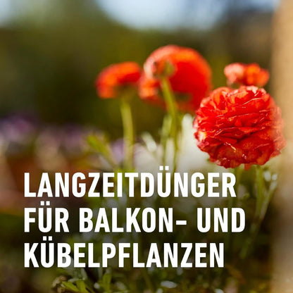 Compo Balkon- und Kübelpflanzendünger 1,2 kg