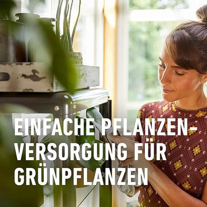 COMPO Grünpflanzen- und Palmen Düngestäbchen mit GUANO (30 Stäbchen)