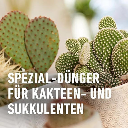 Compo Kakteen- und Sukkulentendünger 250 ml