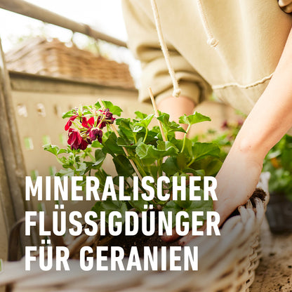 Compo Geraniendünger 1,3 L